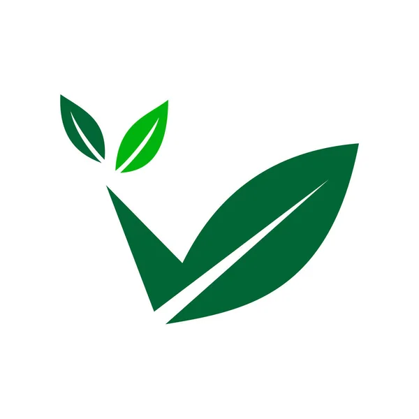 Vegan Logo Şablonu Simge Tanımlama Markası Kimliği Zole Düz Çizim — Stok Vektör
