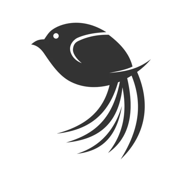 Kuş Logosu Şablonu Simge Tanımlama Markası Kimliği Zole Düz Çizim — Stok Vektör