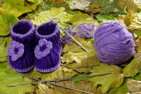 stock image A pair of knitted children's shoes in blue and lilac on yellow autumn leaves. Close-up