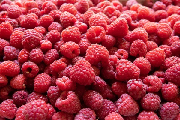 Yakın plan çekilmiş taze kırmızı ahududu arkaplanı. Ahududu arkaplanı