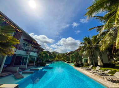 Azure pool under blazing sun, framed by palms. Captures the energy of summer escape - perfect for exotic resort ads and travel agencies.