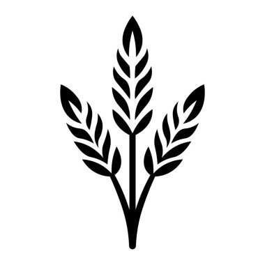 Siyah vektör buğday simgesi beyaz arkaplanda izole edildi