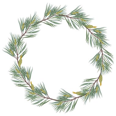 Pamuklu çelenk ve beyaz arka planda izole edilmiş koniler. EPS 10.