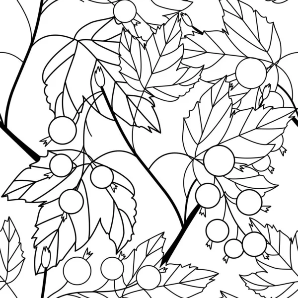 Line Art Blackcurrant Berries Leaves Isolated White Background Seamless Vector — стоковый вектор