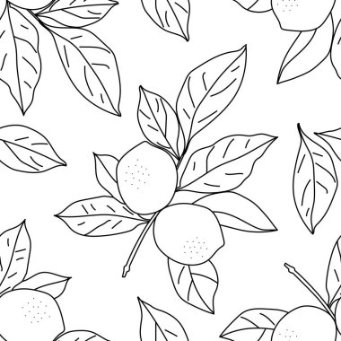 Vector line drawing of lemon and leaves. Seamless vector pattern. Isolation illustration on a white background.