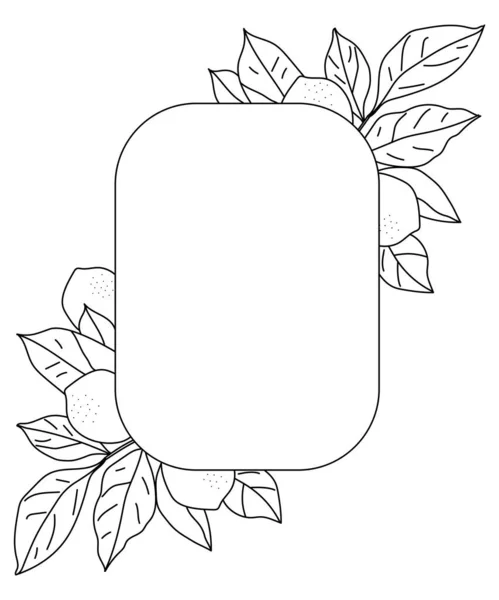 Vector Rectangle Frame Lemon Leaves Line Drawing Fruits Isolation White — Stockový vektor