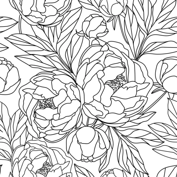 Bezešvé Vzor Pivoňky Květiny Bílém Pozadí Čárový Výtvarný Květiny — Stockový vektor