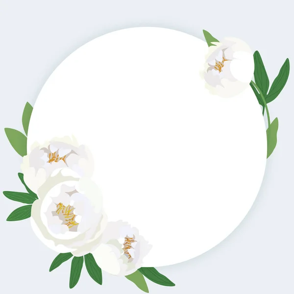 Runder Rahmen Mit Weißen Pfingstrosenblüten Auf Einem Hintergrund Vektorillustration — Stockvektor