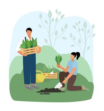 İnsanlar bahçeye bitki eker. Arazide bahar işi. Bahçede bir erkek ve bir kadın çalışıyor..