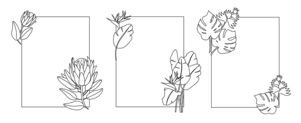 有热带花的框架 花的分枝在白色的背景上被隔离 一套三个长方形的框架与热带花 线条艺术 — 图库矢量图片