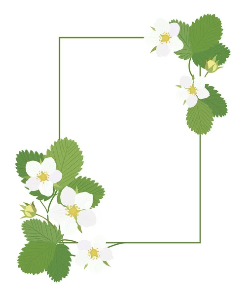 Cadre Rectangulaire Avec Des Fleurs Blanches Fraise Des Feuilles Vertes — Image vectorielle