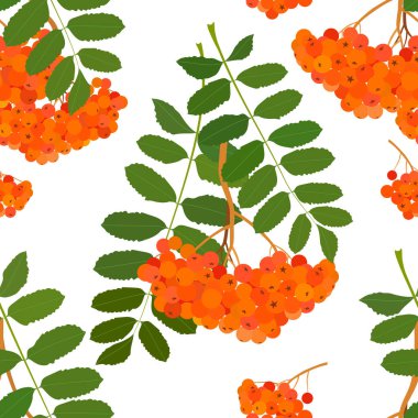 Beyaz arka planda yeşil yapraklı Rowan meyvesi. Kusursuz vektör deseni.