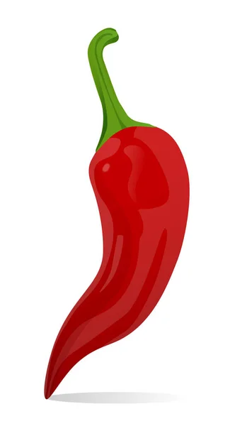 红色的辣椒在白色的背景上被分离出来 矢量说明 — 图库矢量图片