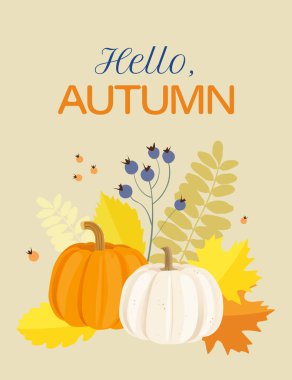 Merhaba, balkabakları, güz meyveleri ve yaprakları olan bir arkaplanda sonbahar metni. Vektör illüstrasyonu.