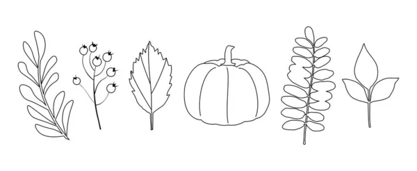 Blätter Und Kürbis Isoliert Auf Weißem Hintergrund Linienzeichnung — Stockvektor