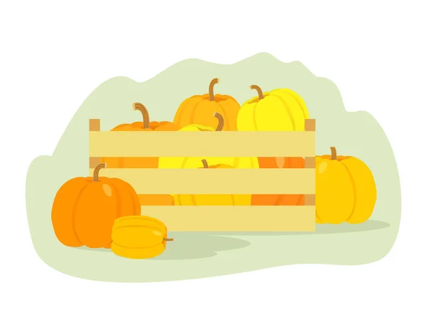 Colorful Pumpkins Box Autumn Harvest Vector Illustration — Stock Vector