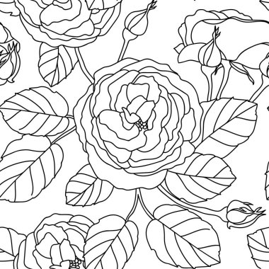 Beyaz arka planda siyah çizgi gülleri olan kusursuz bir vektör deseni. Vektör illüstrasyonu.