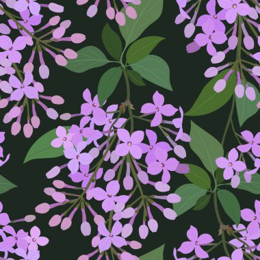 Koyu arkaplanda mor leylak çiçekleri ve bitkiler olan el izi. Vektör İllüstrasyonu.