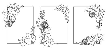 Beyaz arka planda yapraklar, çiçekler ve böğürtlenli çerçeve. Yapraklı üç dikdörtgen çerçeve seti. Satır sanatı.