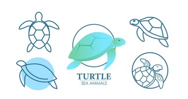 Turtle colorful logo set. Stylish turtle logos isolated on white background. Vector set.