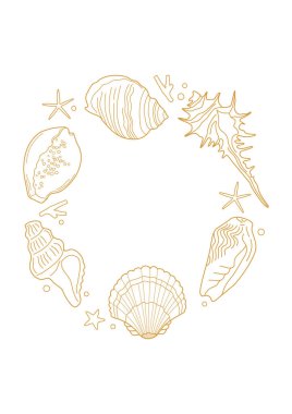 Beyaz arka planda yuvarlak deniz kabukları. Vektör şablonu.