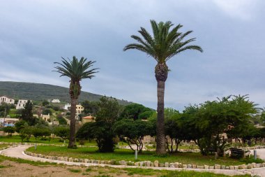 Yunanistan 'daki Syros Adası çok güzel bir yaz mevsimi - Syros Adası, Yunanistan, 08-16-2020