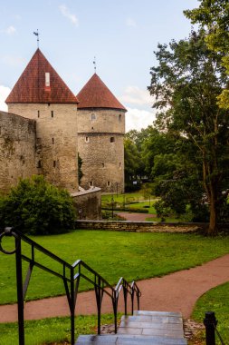 Tallinn 'lerin ortaçağ kulelerinin manzarası parktaki ıslak taş bir merdivenden görülüyor. Kırmızı çatılar ve antik duvarlar yemyeşil ile tezat oluşturuyor.