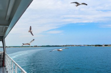 Bir martı sürüsü, Yunanistan 'ın Keramoti kenti ile kıyı şeridi ve sakin mavi deniz manzaralı yaz deniz rotasında bir feribot boyunca uçuyor..