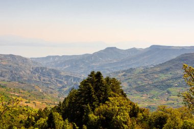 Yunanistan 'ın Trikala kenti yakınlarındaki ilkbaharda yeşil vadiler, ağaçlar ve manzaralı panoramik dağ manzarası. Huzurlu ve kırsal atmosferli doğa manzarası.