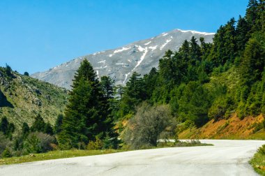 Yunanistan 'ın Corinth kentindeki Ziria dağ sırasındaki yoğun köknar ormanları boyunca uzanan kıvrımlı yolda, dağ zirvelerinde parlak mavi bir gökyüzü altında kar yığınları var..