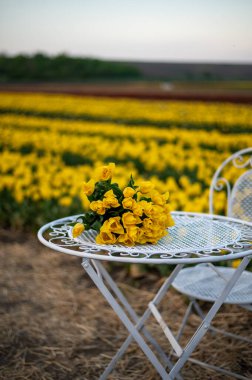 yellow flowers in a garden in the evening clipart