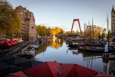 güzel sonbahar manzarası ağaçlar ve su yansımaları, tekneler ve yatlar, Rotterdam, Hollanda
