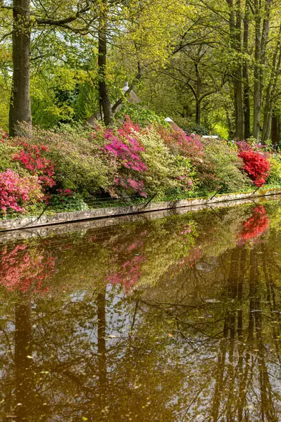 Renkli bahar bahçesi, keukenhof bahçeleri, Hollanda