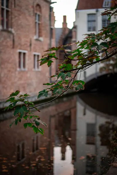 Bruges, Belçika. Su kanalı olan eski kasaba..