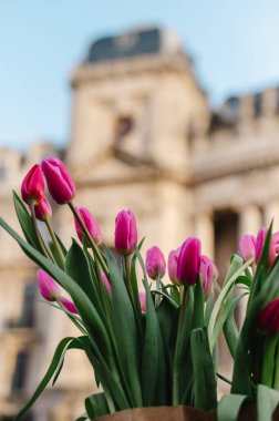 Paris 'te bir saksıda bir buket çiçek.