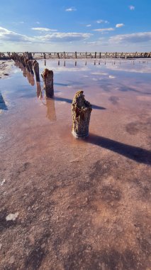 Sabah tuz gölü Ukrayna, pembe göl