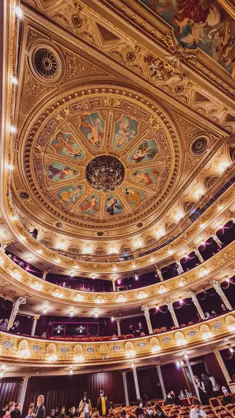 lviv, Ukrayna - 11 Haziran, 2017: lviv 'deki opera binası.