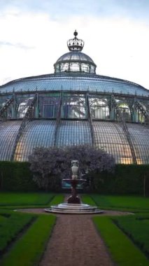 Versailles, Versailles, France parkının bahçesindeki güzel saray..