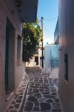 Kiklad Yunan adası Mykonos 'un eşsiz mimarisi, mavi pencereli klasik beyaz evler tarafından temsil ediliyor. Sokaklar çiçek açan ağaçlarda gömülü. Yunanistan 'ın en lüks tatil köyü. Yunan Adası Mykonos Sokağı
