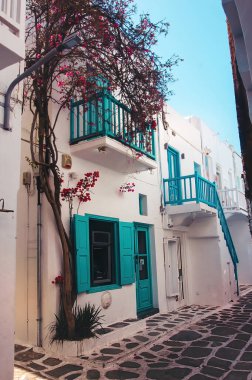 Kiklad Yunan adası Mykonos 'un eşsiz mimarisi, mavi pencereli klasik beyaz evler tarafından temsil ediliyor. Sokaklar çiçek açan ağaçlarda gömülü. Yunanistan 'ın en lüks tatil köyü. Yunan Adası Mykonos Sokağı