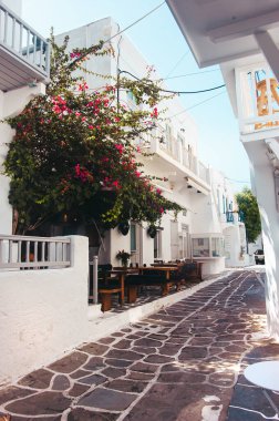 Kiklad Yunan adası Mykonos 'un eşsiz mimarisi, mavi pencereli klasik beyaz evler tarafından temsil ediliyor. Sokaklar çiçek açan ağaçlarda gömülü. Yunanistan 'ın en lüks tatil köyü. Yunan Adası Mykonos Sokağı