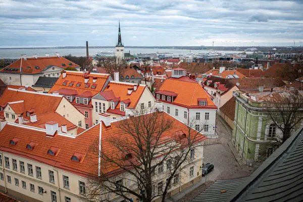 Tallinn 'in tarihi mimarisini harmanlayan çatı manzarası, arka planda modern şehir silueti olan yüksek bir kilise kulesi de dahil..