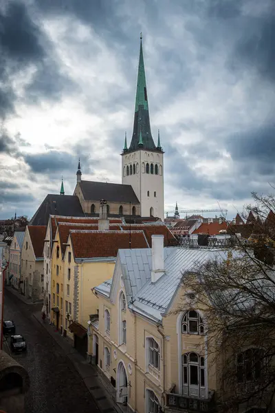 Tallinn, Estonya 'nın manzarası.