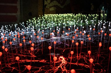 Mons, Belçika 'da Işık Festivali (Mons en Lumieres).