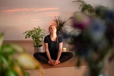 Yogi sportif çekici kadın yoga, yoga-asana pozu ve meditasyon yapıyor, yalnız çalışıyor, esniyor, şık siyah spor giysiler giyiyor, kapalı yeşil ev bitkileri arasında.