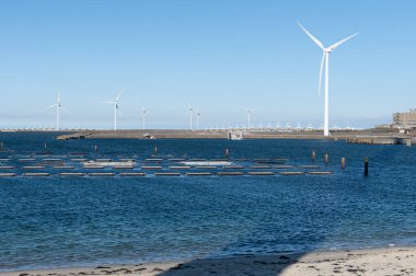 Uzun rüzgar türbinleri Kuzey Denizi kıyı şeridi boyunca görkemli bir şekilde durur açık sular ve taze deniz esintisi arasında yenilenebilir enerji üreterek sürdürülebilirliği ve temiz gücü sembolize eder..