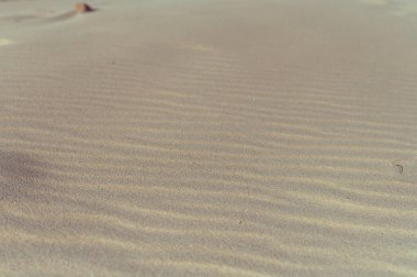 Sahildeki kum dokusunun yüksek kalite yakın çekim fotoğrafı, sıcak tonları ve doğal desenleri yakalıyor. Mükemmel bir yaz doğası. Huzuru, tatil atmosferini ve tropikal bir sahneyi çağrıştırıyor..