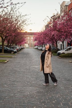 Belçika, Gent 'te bir kaldırım taşı caddesinde çiçek açan kiraz ağaçlarının altında bej ceketli bir kadının büyüleyici bir sahnesi. Yumuşak pembe yapraklar rüya gibi bir bahar havası yaratır..