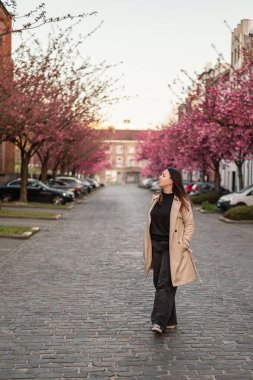 Belçika, Gent 'te bir kaldırım taşı caddesinde çiçek açan kiraz ağaçlarının altında bej ceketli bir kadının büyüleyici bir sahnesi. Yumuşak pembe yapraklar rüya gibi bir bahar havası yaratır..