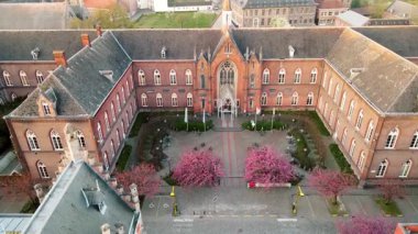 Gent, Belçika 'da tarihi bir kaldırım taşı caddesini kaplayan çiçek açan pembe kiraz ağaçlarının çarpıcı insansız hava aracı görüntüsü. Canlı bahar renkleri büyüleyici şehir manzarasıyla güzel bir tezat oluşturuyor..